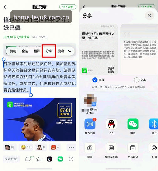 乐鱼体育平台安全测评：从实时比分到资讯推送的实用观察